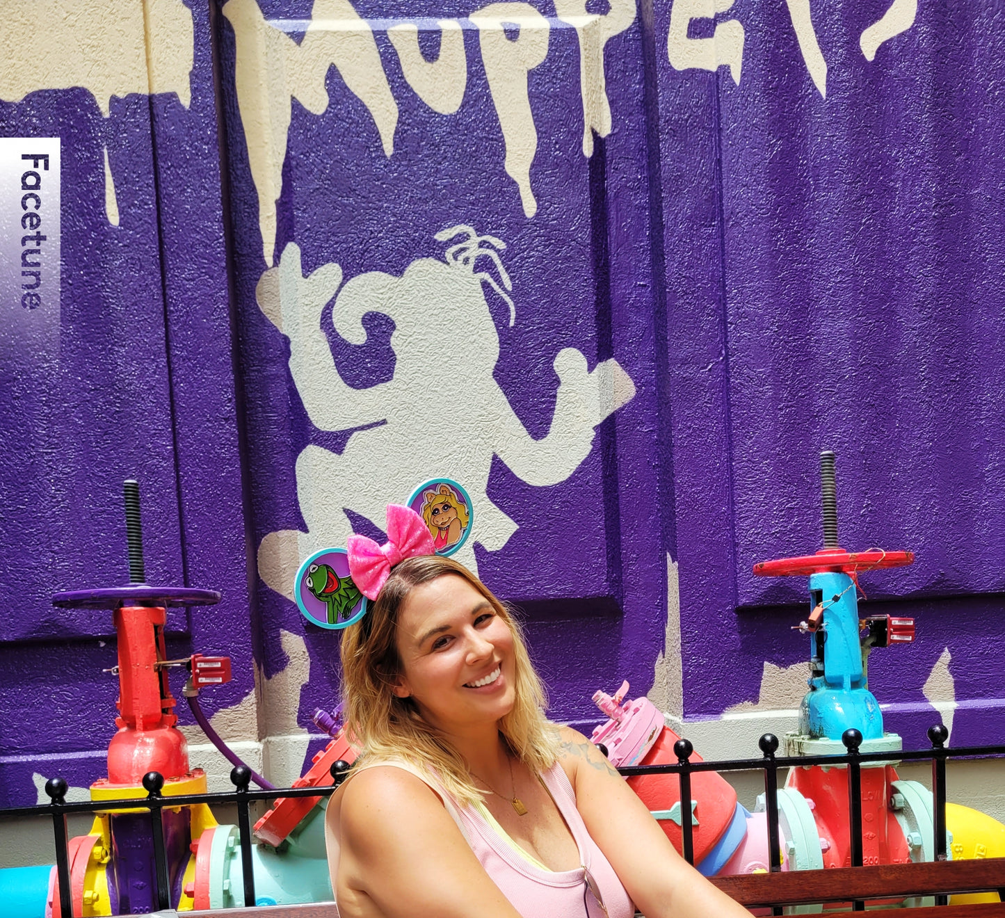 Retro Kermit and Piggy Muppet Vision Forever Ears, 3D Printed Miss Piggy Muppets Mouse Ears